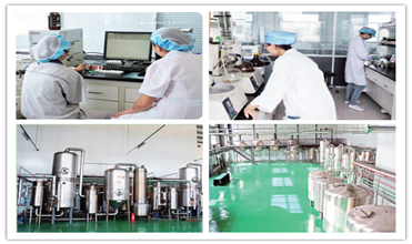 Fibra dietetica solubile degli Isomalto-oligosaccaridi del Einecs 232-554-6 4